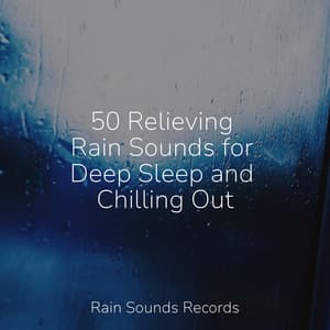 50 Relieving Rain Sounds for Deep Sleep and Chilling Out - Ambiente