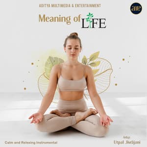Meaning Of Life - Utpal Jivrajani
