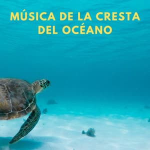 Música De La Cresta Del Océano - Musicoterapia Océano