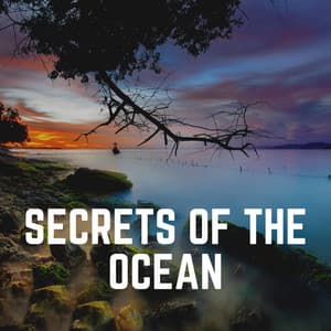 Secrets of the Ocean - Ocean Sounds FX