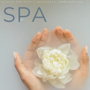 Spa: Lluvia Pacífica Y Relajante, Ambiente Vol. 1 - Sonidos de lluvia ACE