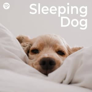 Sleeping Dog - Dog Music Library