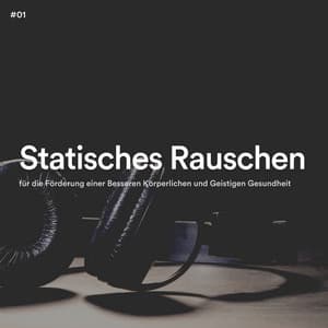 #01 Statisches Rauschen für die Förderung einer Besseren Körperlichen und Geistigen Gesundheit - Weißes Rauschen