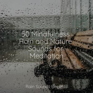 50 Mindfulness Rain and Nature Sounds for Meditation - Calming Sounds