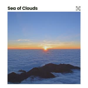 Sea of Clouds - Worldwide Nature Studios