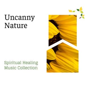 Uncanny Nature - Spiritual Healing Music Collection - Spa Music Relaxation