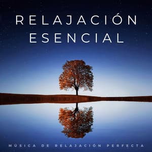 Relajación Esencial: Música De Relajación Perfecta - Música de Fondo para Salón de Restaurante