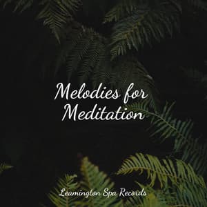 Melodies for Meditation - Relaxing Nature Music