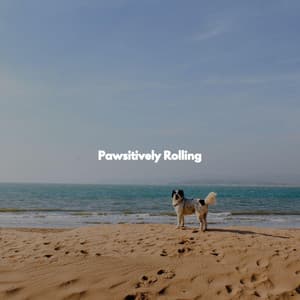 Pawsitively Rolling - Jazz Radio