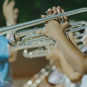 Smooth Jazz Grooves for Calm Relaxation Moments - Bebop Jazz Radio