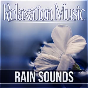 Relaxation Music: Rain Sounds – Brain Stimulation, Massage & Meditation Therapy, Spa, Relaxing Natural Ambiences - Raindrops Healing Music Universe