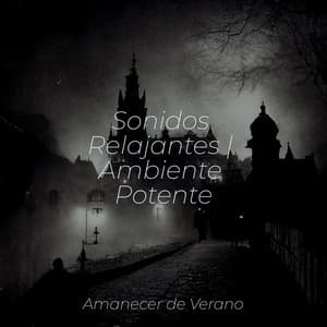 Sonidos Relajantes | Ambiente Potente - Study Music & Sounds