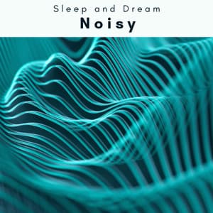 1000 Noisy - Sleep and Dream