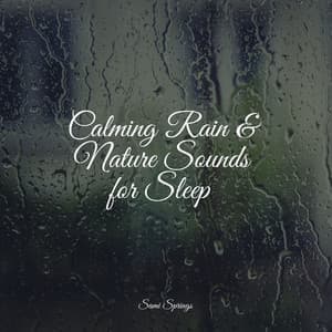 Calming Rain & Nature Sounds for Sleep - The Sleep Principle