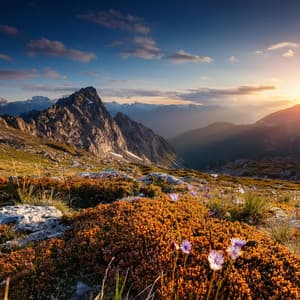 Music For Deep Relaxation And Peaceful Moments - Relaxing Music Playlist Chill