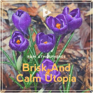 Brisk And Calm Utopia - Rain Atmospheres