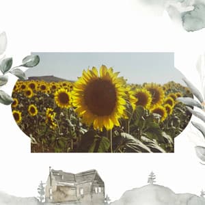 Sort - Jazz Piano Instrumentals