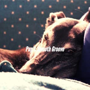Pup's Smooth Groove - Home Alone Dog Music