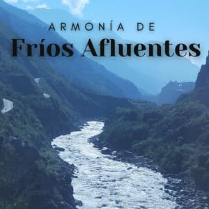 Armonía De Fríos Afluentes - Paisaje sonoro de agua goteando