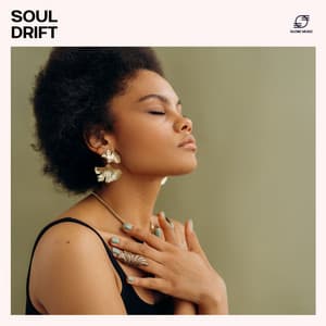 Soul Drift - Asian Meditation Music Collective