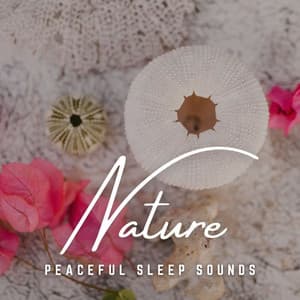 Riverside Slumber: Peaceful Sleep Sounds - Moods & Water sounds