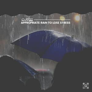 Appropriate Rain to Lose Stress - Sounds of Rain