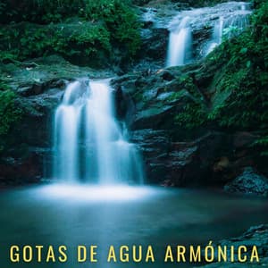 Gotas De Agua Armónica - Agua de olas tranquilas