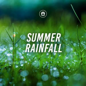 Summer Rainfall - Sounds Of The Sea