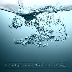 Reinigendes Wasser Klingt - Ausgewählte Naturmelodien für Entspannung, Meditation, Spa, Schlaf oder Yoga - Entspannungsmusik Academy