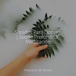 Sonidos Para Dormir | Sueño Profundo Y Meditación - Canciones Infantiles de Niños