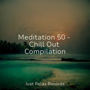 Meditation 50 - Chill Out Compilation - Musica para Dormir Dream House