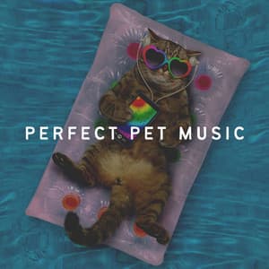 Perfect Pet Music - Cat Music Therapy