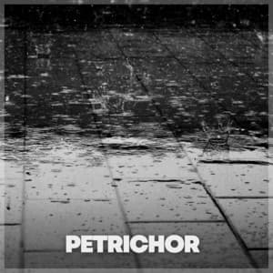 Petrichor - Relaxing Rain Sounds