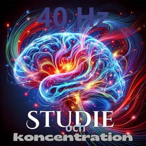 40 Hz Studie och koncentration: Gammafrekvens för fokus, Öka ditt minne - Lugn Musik Atmosfär