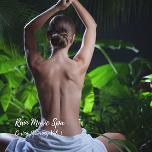 Rain Music Spa: Curing Harmony Vol. 1 - Ultimate Massage Music Ensemble