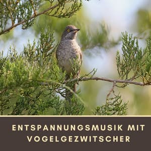 Entspannungsmusik mit Vogelgezwitscher: Klänge der Natur um Sich zu Erholen - Erste Genesis