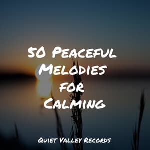 50 Peaceful Melodies for Calming - Winds and Oceans
