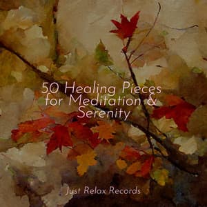 50 Healing Pieces for Meditation & Serenity - Relaxing Mindfulness Meditation Relaxation Maestro