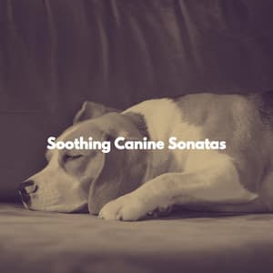 Soothing Canine Sonatas - Fine Dining Music Rhythms
