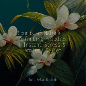 Sounds of Nature | Comforting Melodies | Instant Stress & Anxiety Relief - Música Relajante para Bebés