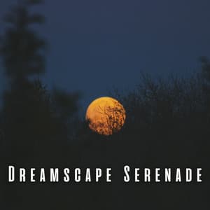 Dreamscape Serenade: Blissful Meditations for Deep Sleep - Relaxing Meditation Songs Divine
