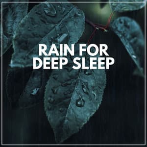 Rain for Deep Sleep - Rain for Deep Sleeping