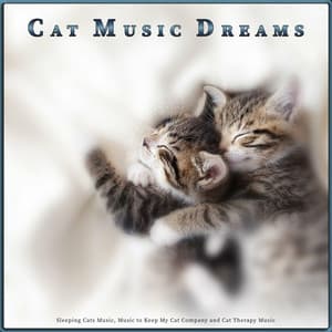 Cat Music Dreams: Sleeping Cats Music, Music to Keep My Cat Company and Cat Therapy Music - Cat Music Dreams