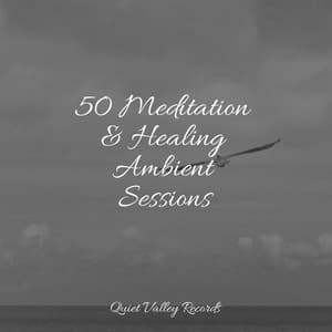 50 Meditation & Healing Ambient Sessions - Crying & Colic Relief