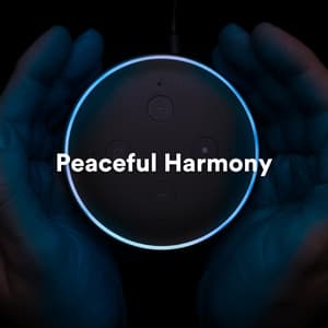 Peaceful Harmony: Ambient Tracks for Meditation and Relaxation - Meditation Music For Relaxation