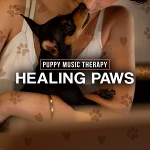 Healing Paws - Puppy Music Therapy