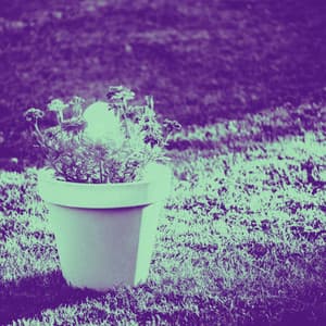 Cool Background for Studying Legends - Música Suave para Cafés