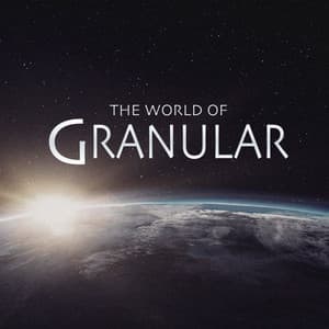 The World Of - Granular