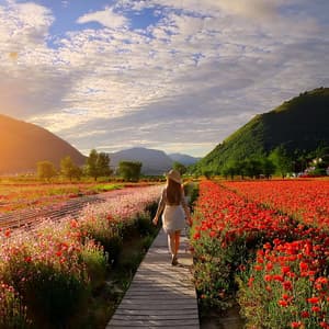 Aligera El Día: Música Para Relajarse - Mente de serenidad binaural