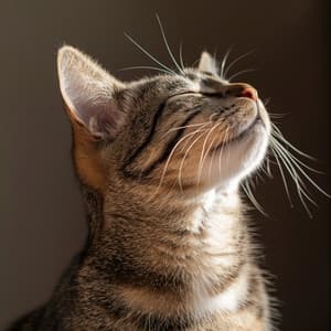 Tonos Tranquilos Felinos: Melodías Suaves Para Relajación Felina - Música Calmante para Gatitos